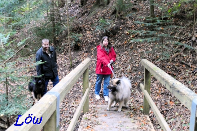 13.10.2024 - Weiter durch den Wald